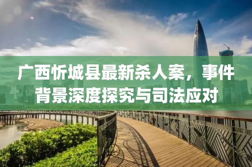 广西忻城县最新杀人案，事件背景深度探究与司法应对