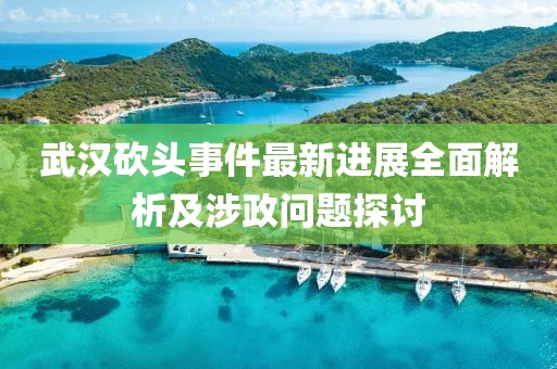 武汉砍头事件最新进展全面解析及涉政问题探讨