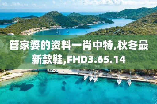 管家婆的资料一肖中特,秋冬最新款鞋,FHD3.65.14