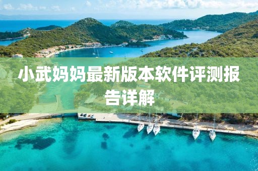 小武妈妈最新版本软件评测报告详解