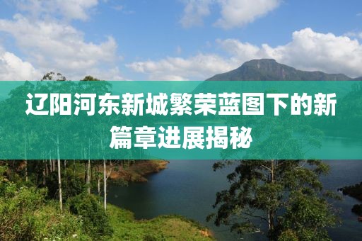 辽阳河东新城繁荣蓝图下的新篇章进展揭秘