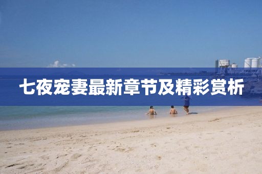 七夜宠妻最新章节及精彩赏析