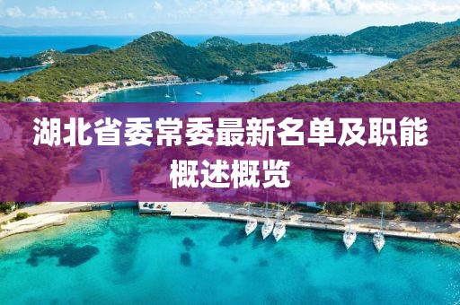 湖北省委常委最新名单及职能概述概览