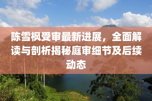 陈雪枫受审最新进展，全面解读与剖析揭秘庭审细节及后续动态