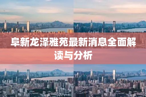 阜新龙泽雅苑最新消息全面解读与分析