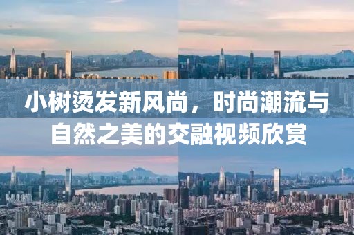 小树烫发新风尚，时尚潮流与自然之美的交融视频欣赏