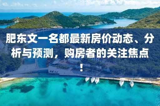 肥东文一名都最新房价动态、分析与预测，购房者的关注焦点！