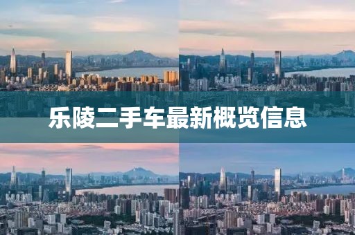 乐陵二手车最新概览信息