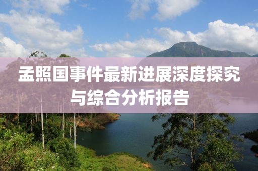 孟照国事件最新进展深度探究与综合分析报告