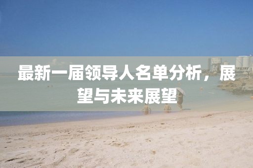最新一届领导人名单分析，展望与未来展望