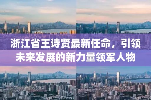 浙江省王诗贤最新任命，引领未来发展的新力量领军人物