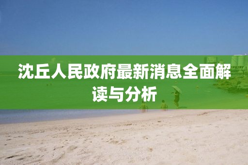 沈丘人民政府最新消息全面解读与分析