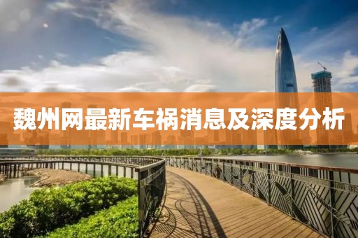 魏州网最新车祸消息及深度分析