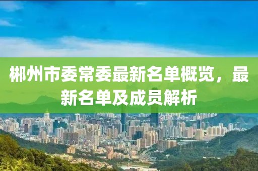 郴州市委常委最新名单概览，最新名单及成员解析