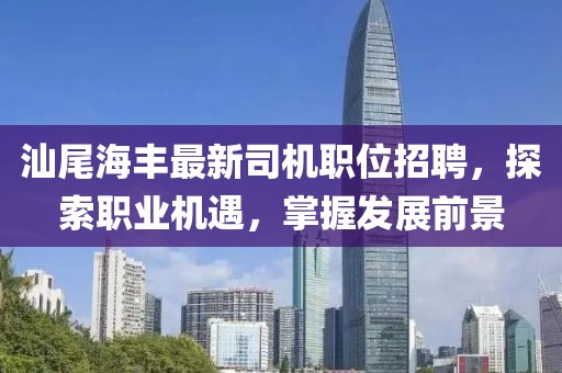 汕尾海丰最新司机职位招聘，探索职业机遇，掌握发展前景