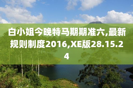 白小姐今晚特马期期准六,最新规则制度2016,XE版28.15.24
