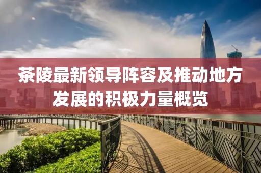 茶陵最新领导阵容及推动地方发展的积极力量概览