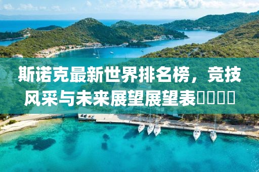斯诺克最新世界排名榜，竞技风采与未来展望展望表​​​​