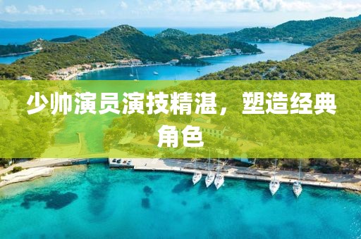 少帅演员演技精湛，塑造经典角色