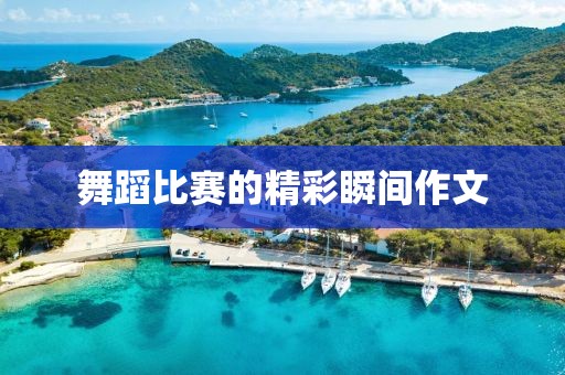 舞蹈比赛的精彩瞬间作文