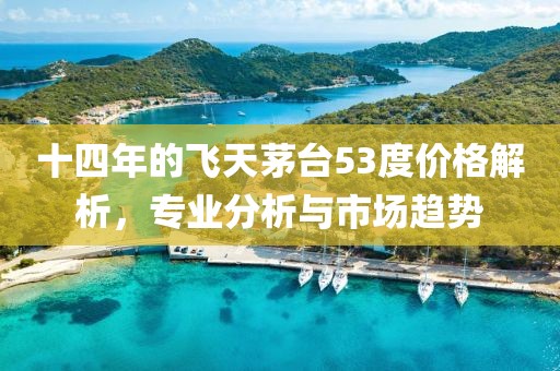 十四年的飞天茅台53度价格解析，专业分析与市场趋势