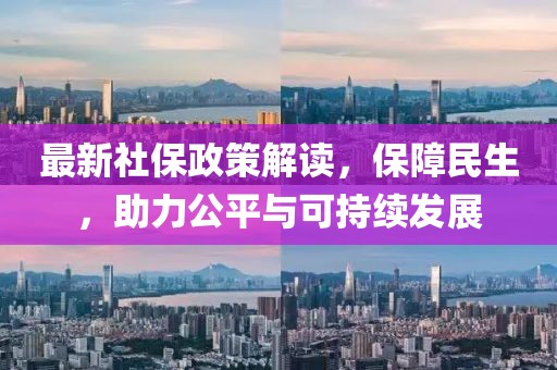 最新社保政策解读，保障民生，助力公平与可持续发展