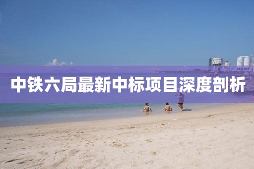中铁六局最新中标项目深度剖析