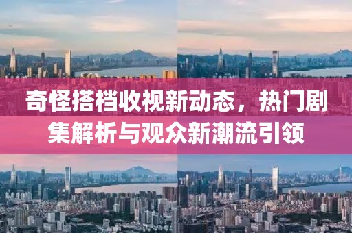 奇怪搭档收视新动态，热门剧集解析与观众新潮流引领