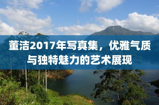 董洁2017年写真集，优雅气质与独特魅力的艺术展现