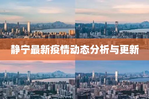 静宁最新疫情动态分析与更新
