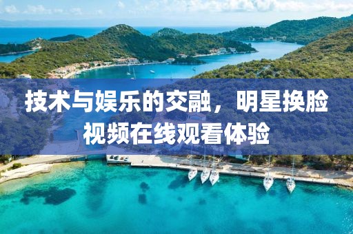 技术与娱乐的交融，明星换脸视频在线观看体验