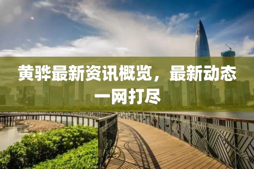 黄骅最新资讯概览，最新动态一网打尽