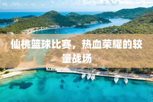 仙桃篮球比赛，热血荣耀的较量战场