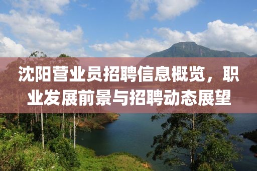 沈阳营业员招聘信息概览，职业发展前景与招聘动态展望