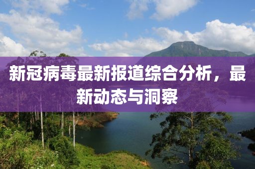 新冠病毒最新报道综合分析，最新动态与洞察