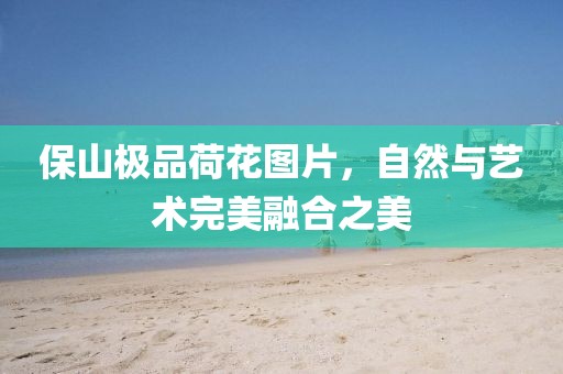 保山极品荷花图片，自然与艺术完美融合之美