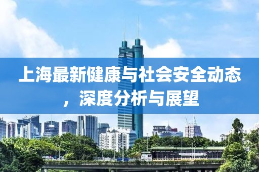 上海最新健康与社会安全动态，深度分析与展望