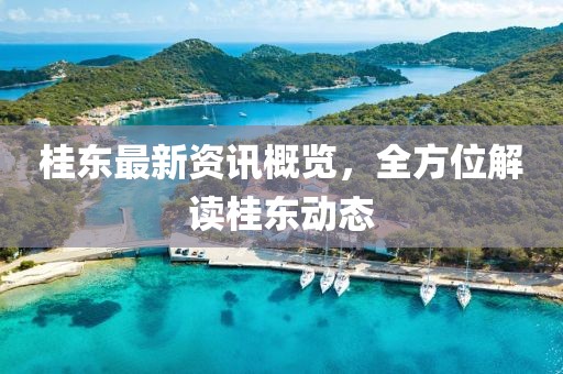 桂东最新资讯概览，全方位解读桂东动态