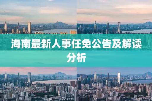 海南最新人事任免公告及解读分析