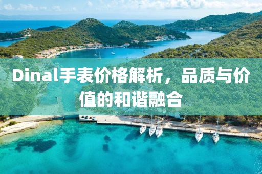 Dinal手表价格解析，品质与价值的和谐融合
