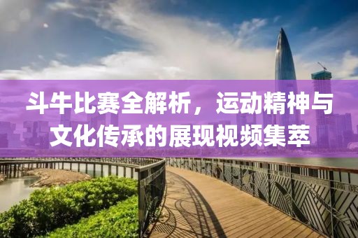斗牛比赛全解析，运动精神与文化传承的展现视频集萃