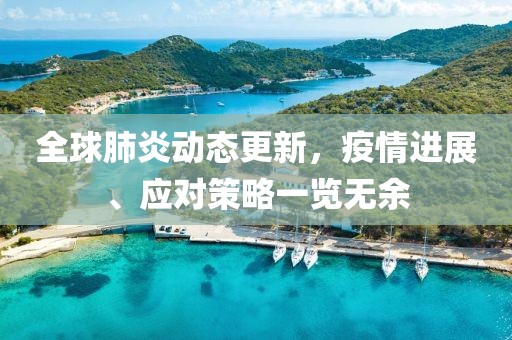 全球肺炎动态更新，疫情进展、应对策略一览无余