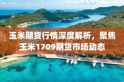 玉米期货行情深度解析，聚焦玉米1709期货市场动态