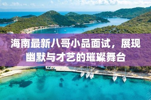海南最新八哥小品面试，展现幽默与才艺的璀璨舞台