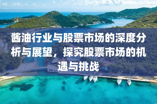酱油行业与股票市场的深度分析与展望，探究股票市场的机遇与挑战