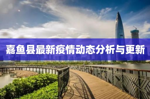 嘉鱼县最新疫情动态分析与更新