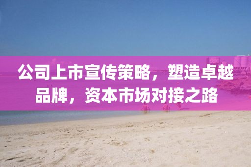 公司上市宣传策略，塑造卓越品牌，资本市场对接之路