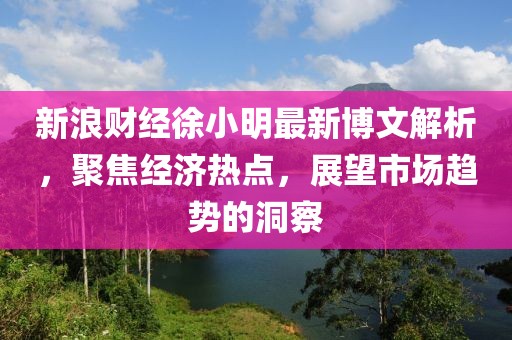 新浪财经徐小明最新博文解析，聚焦经济热点，展望市场趋势的洞察