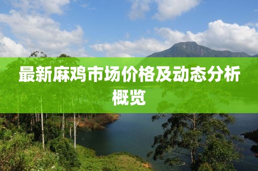 最新麻鸡市场价格及动态分析概览