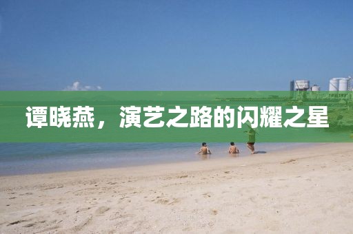 谭晓燕，演艺之路的闪耀之星